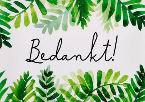 Bedankt aan alle sponsors!