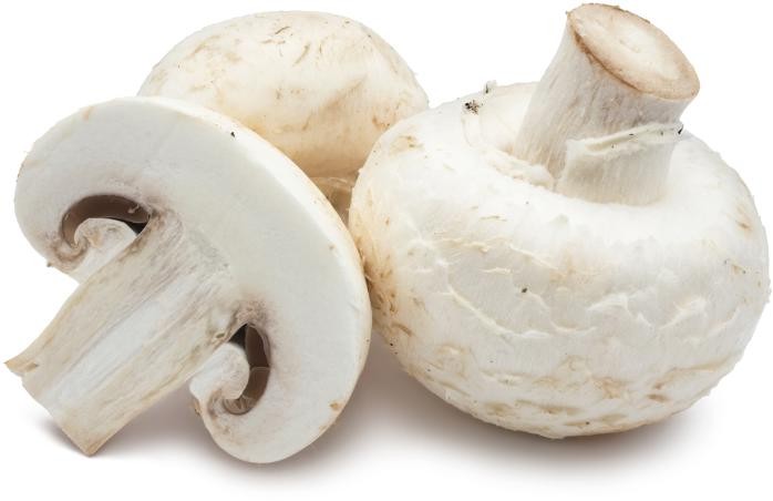 Champignons-2-S-D-698